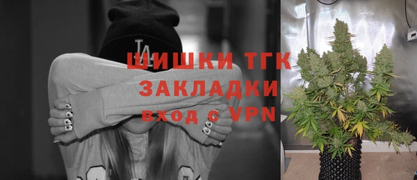 стаф Абаза