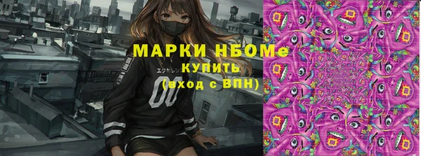 стаф Абаза