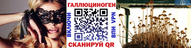где продают   Спас-Клепики  Галлюциногенные грибы Psilocybine cubensis 